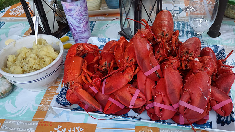 lobsters-rockportseaventure